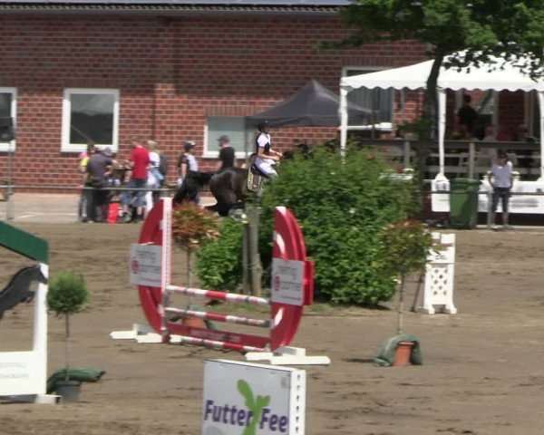 Reitturnier Seppenrade 2023