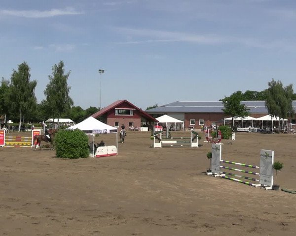 Reitturnier Seppenrade 2023