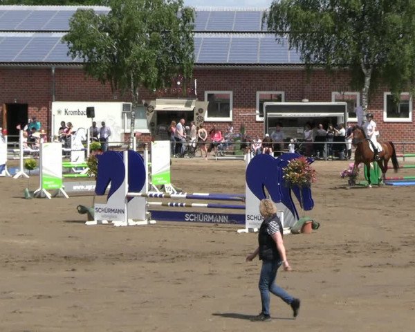 Reitturnier Seppenrade 2023
