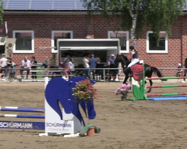 Reitturnier Seppenrade 2023