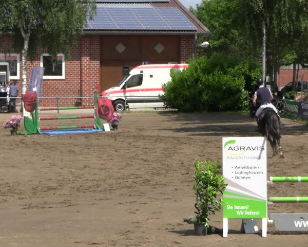 Reitturnier Seppenrade 2023