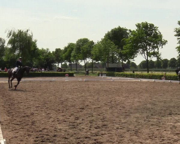 Reitturnier Seppenrade 2023