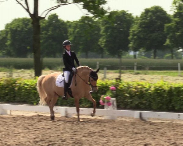 Reitturnier Seppenrade 2023