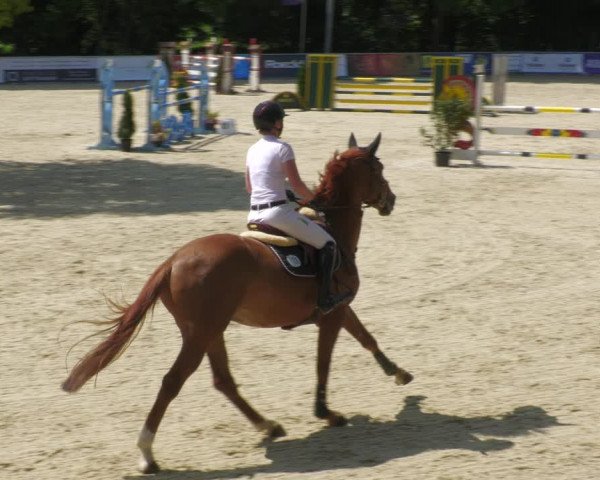 Reitturnier Karlsfeld/Obb. 2023