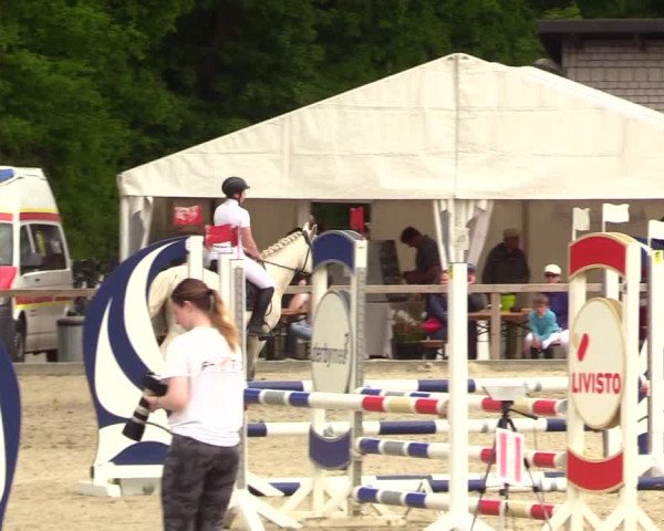 Reitturnier Kropp 2023