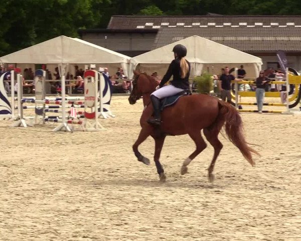 Reitturnier Kropp 2023