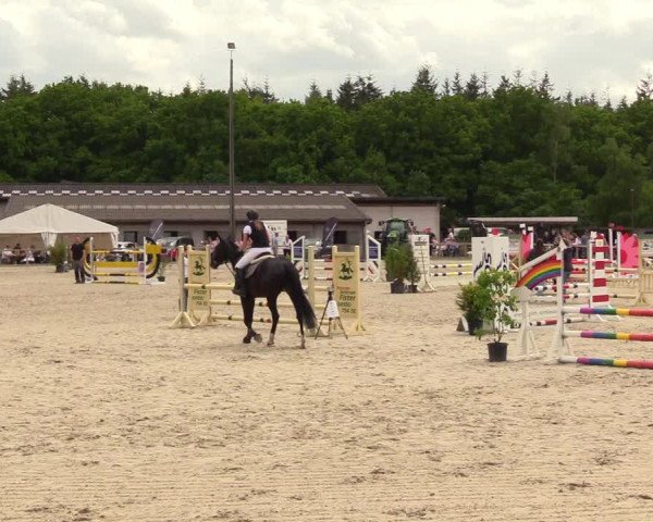 Reitturnier Kropp 2023