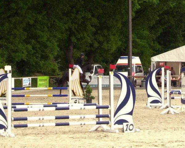 Reitturnier Kropp 2023
