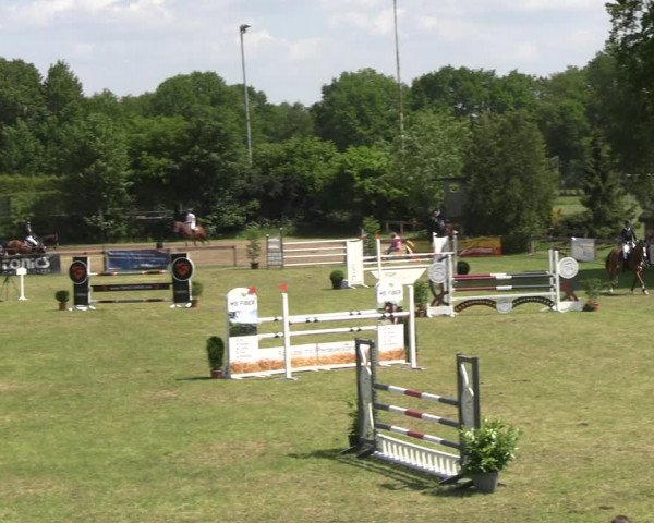 Reitturnier Pennigbüttel 2023