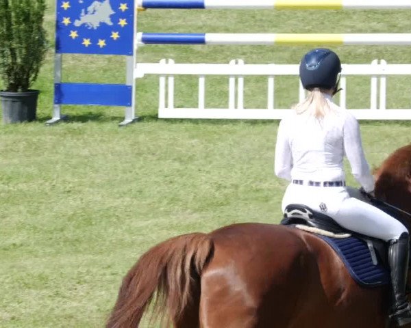 Reitturnier Forst 2023