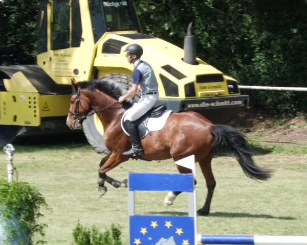 Reitturnier Forst 2023