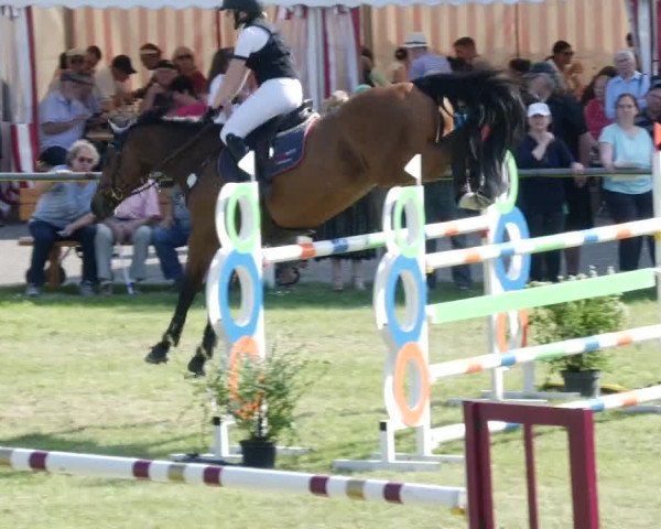 Reitturnier Forst 2023