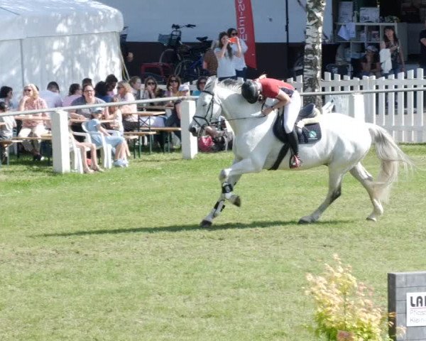 Reitturnier Forst 2023