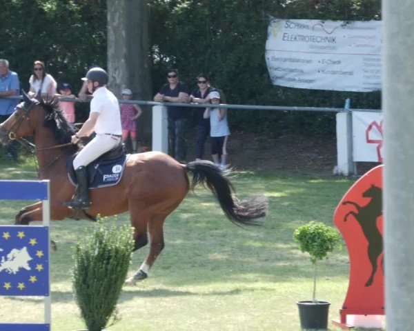 Reitturnier Forst 2023