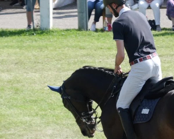 Reitturnier Forst 2023