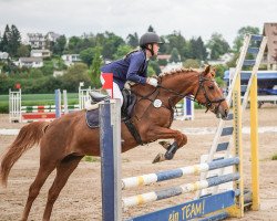Springpferd Prodise's Mona Lisa (New-Forest-Pony, 2012, von Kantje's Appart)