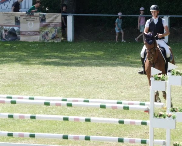 Reitturnier Forst 2023