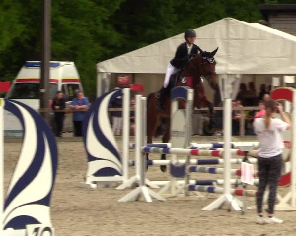 Reitturnier Kropp 2023