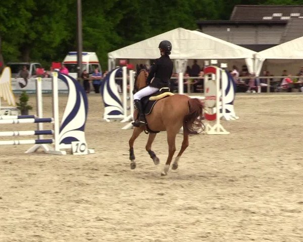 Reitturnier Kropp 2023