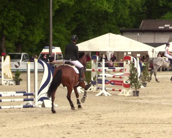 Reitturnier Kropp 2023