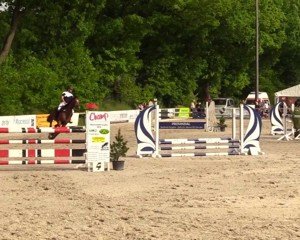 Reitturnier Kropp 2023