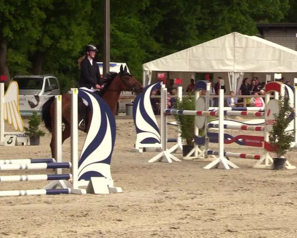 Reitturnier Kropp 2023