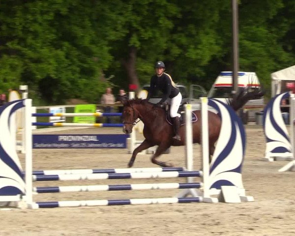 Reitturnier Kropp 2023