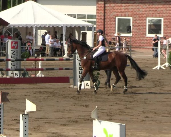 Reitturnier Seppenrade 2023