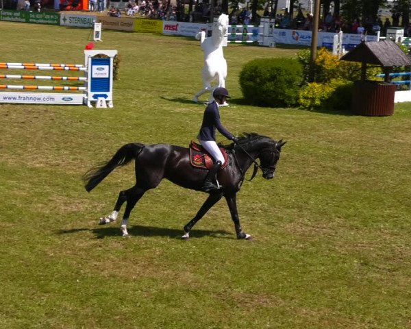 Reitturnier Cottbus-Sielow 2023
