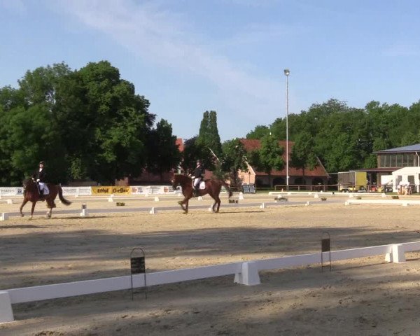 Reitturnier Everswinkel 2023