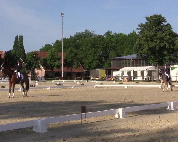 Reitturnier Everswinkel 2023