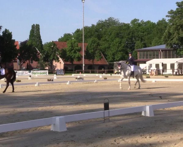 Reitturnier Everswinkel 2023