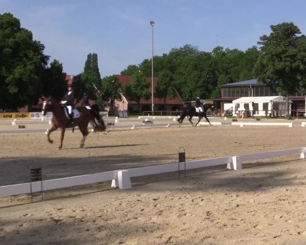 Reitturnier Everswinkel 2023