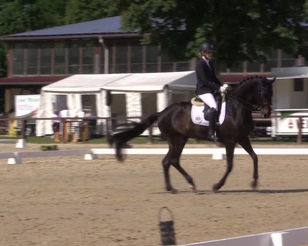 Reitturnier Everswinkel 2023
