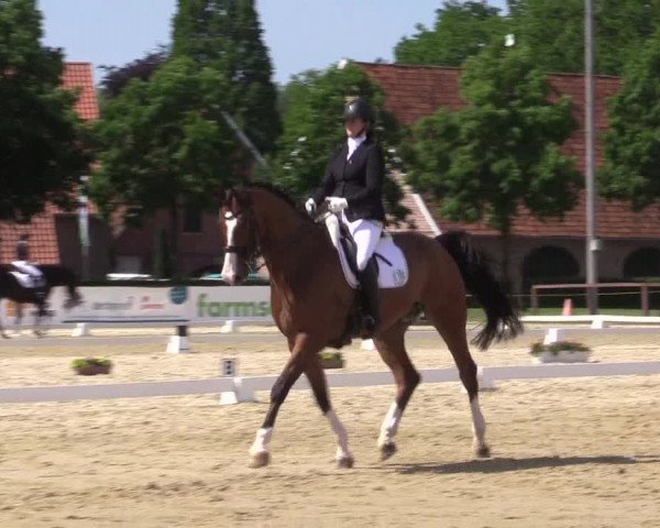 Reitturnier Everswinkel 2023