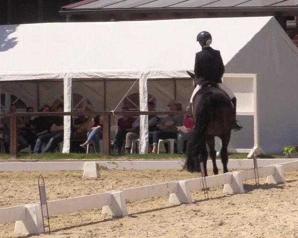 Reitturnier Everswinkel 2023