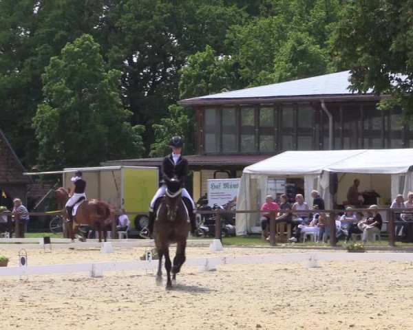 Reitturnier Everswinkel 2023