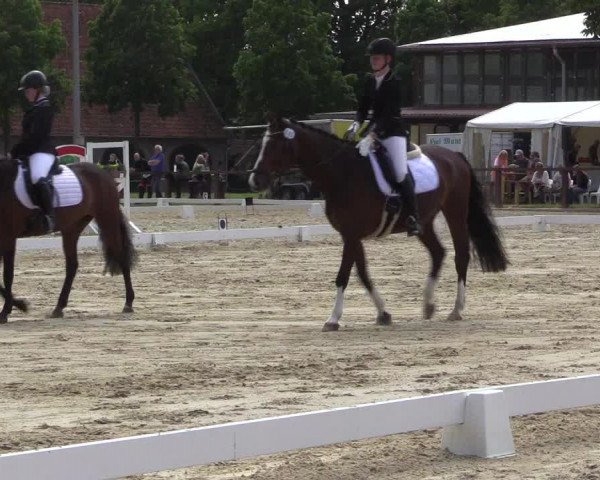 Reitturnier Everswinkel 2023