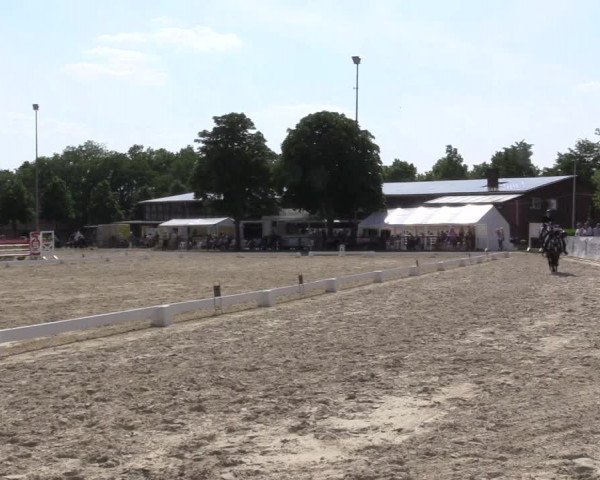 Reitturnier Everswinkel 2023