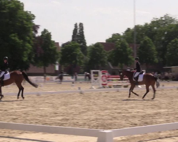 Reitturnier Everswinkel 2023