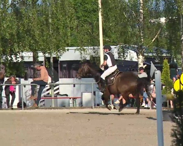 Reitturnier Landenhausen 2023