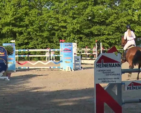 Reitturnier Landenhausen 2023