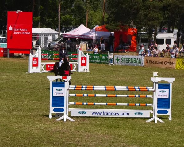Reitturnier Cottbus-Sielow 2023