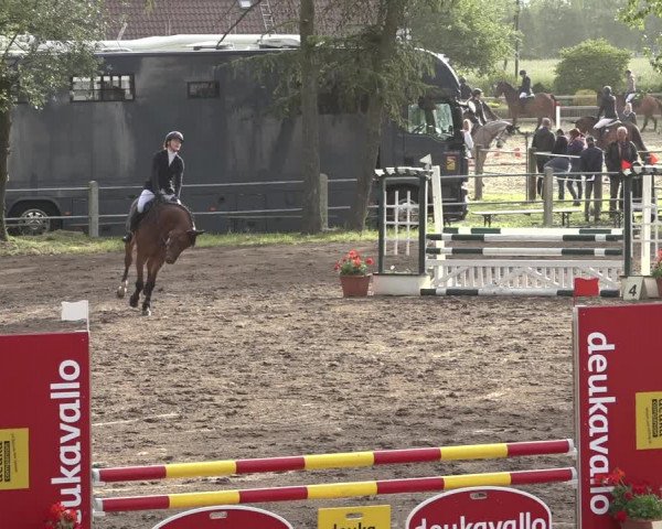 Reitturnier Mettingen 2023