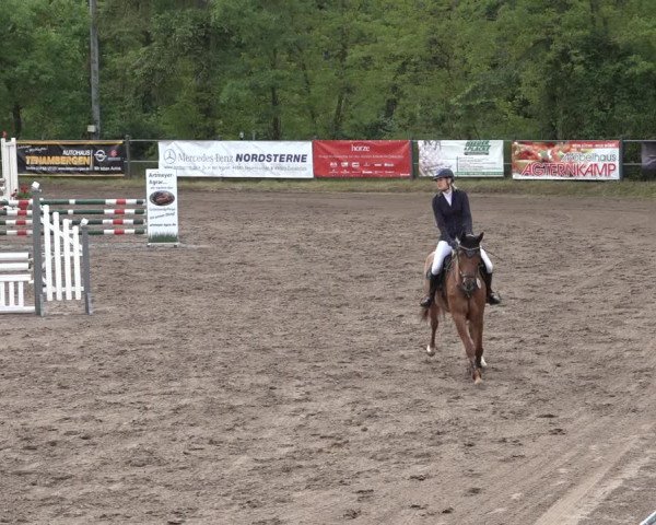 Reitturnier Mettingen 2023