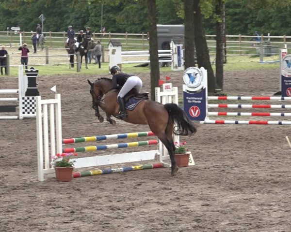 Reitturnier Mettingen 2023