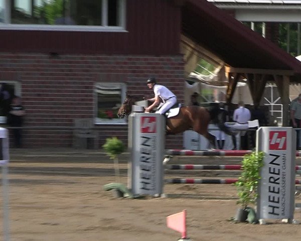 Reitturnier Seppenrade 2023