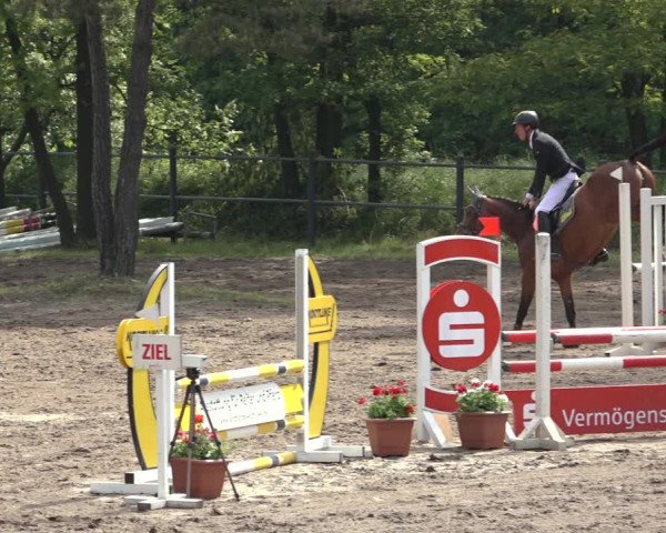 Reitturnier Mettingen 2023