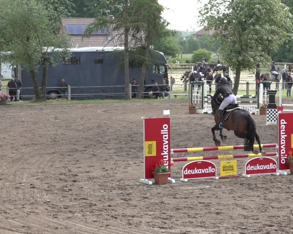 Reitturnier Mettingen 2023