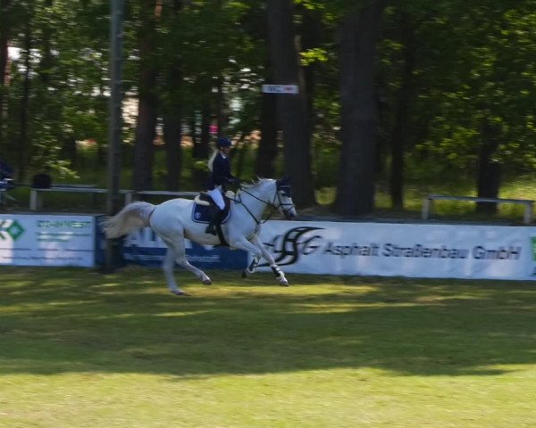 Reitturnier Cottbus-Sielow 2023